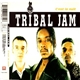 Tribal Jam - C'Est La Nuit